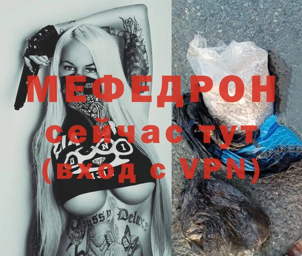 шишки Няндома