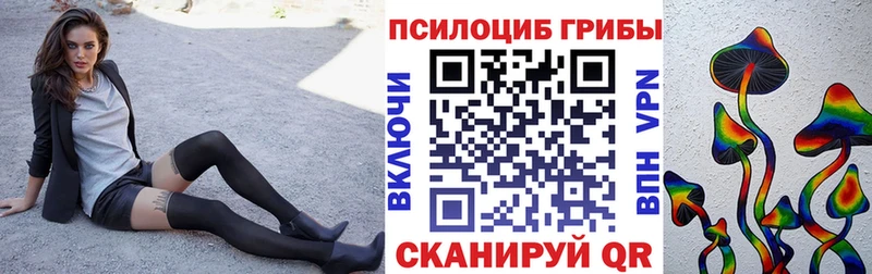 где купить наркоту  Ивангород  Псилоцибиновые грибы MAGIC MUSHROOMS 